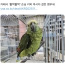 (주)오즈인터미디어 | 11월 4주차 : 안경은 도깨비