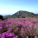 석우초교 이미지