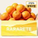 오렌지 이미지