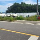 초전면사무소 이미지