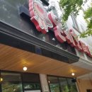 신돈키호테 이미지