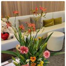 모세마취통증의학과의원 이미지