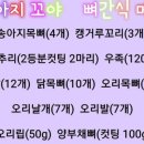 꼬야애견 이미지