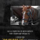 디아나동물병원 이미지