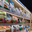 도그랑힐스 이미지