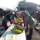 벌용동 사무소 이미지