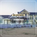 소라잡는댕댕이 이미지