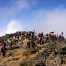 제231차 漢拏山 白鹿潭(제주도) 기획산행 예약(2009.5.23-24) 놀토 이미지