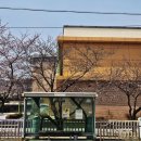 월포초등학교 이미지