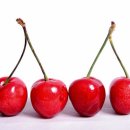 멘토환경 이미지