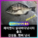 대부도낚시물류창고