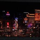 블루밍독 | 삼성 77SC95에서 TCL 98Q8C로 기변 후기. #TCL