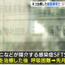 제주더팔팔농장 이미지