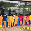 자연유아학교 이미지