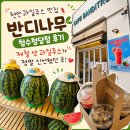 카페반디나무 - 북구 덕천2길 31 | 천안과일주스 맛집 반디나무 청수청당점 후기 제철 생 과일주스가 정말 신선했던 곳