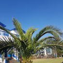 드림 팬션 이미지