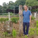 입석목장 이미지