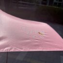 에듀식스 | 데이식스 PIER10 팬미팅 잠실실내체육관 플로어 17열 후기