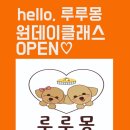 루루몽 이미지