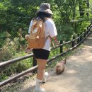 지구런 마라톤 피스 레이서로 10km 후기!