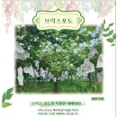 돌마농장 네이버블로그