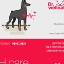 영양간식