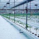 영자농장 이미지