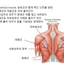마리오 짐 이미지