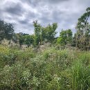 포천시 환경자원센터 | 국립수목원 열대식물자원연구센터 후기, 광릉수목원 주차 예약 꿀팁과 포천 가볼만한곳 추천