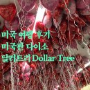 상장중학교 | 미서부 패키지 여행 후기 6. 미국판 다이소 달러 트리 Dollar Tree 쇼핑 후기
