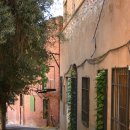 MATE(메이트) 이미지