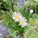 전북특별자치도교육청장수도서관 이미지