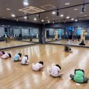 키즈 돌핀 아카데미 이미지