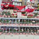 원미구 길주로 267 이미지