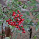 남천고을 이미지