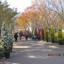 동변초등 이미지