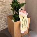 정다운화원