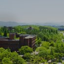 영남대학교 이미지