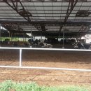 영경농장 이미지