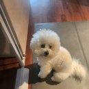 잠원동006 | 10월 (3)