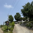 카페메이 - 성남시 분당구 내정로17번길 13 | [제목] 도심 속 초록빛 힐링, 청량산 자락의 감성 카페 ‘메이도우(MAYDOW)’ 내돈내산 후기