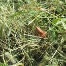 등골농장 이미지