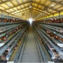 새날농장 이미지