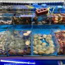 부산여행 자갈치시장 원조 73년 3대 엄마집숯불꼼장어 맛집 후기