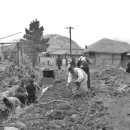 박달1리 이미지