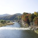 신성리생태공원 이미지