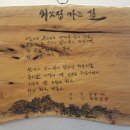 외갓집 가는 길 티스토리