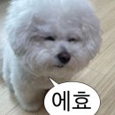 비에이치씨동호점 이미지