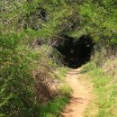 병선농장 이미지