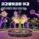 후평초 푸른새싹공원 | 괴강불빛공원 충북 여행지 괴산 야경 명소 데이트 가볼만한 곳